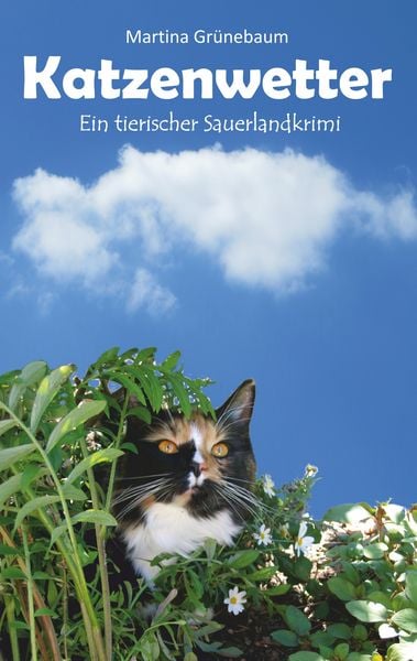Produktbild: Katzenwetter