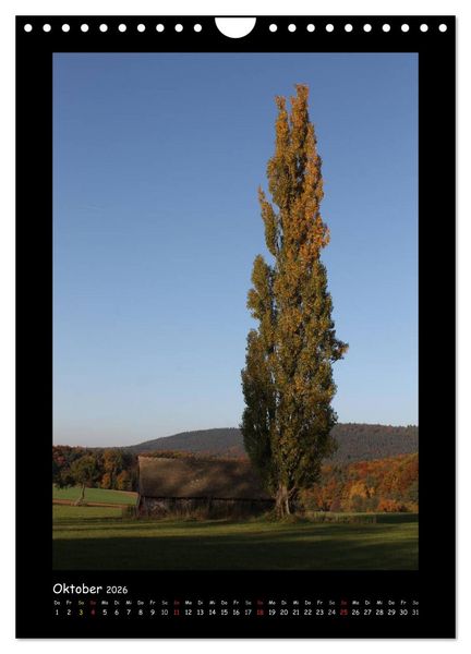 Produktbild: Odenwald & Bergstra&szlig;e (Wandkalender 2026 DIN A4 hoch), CALVENDO Monatskalender