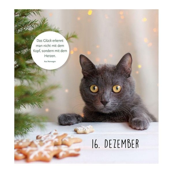 Produktbild: Auf Samtpfoten durch den Advent