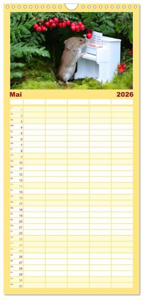 Produktbild: Familienplaner 2026 - Die R&ouml;telmaus - neugierig und verfressen mit 5 Spalten (Wandkalender, 21 x 45 cm) CALVENDO