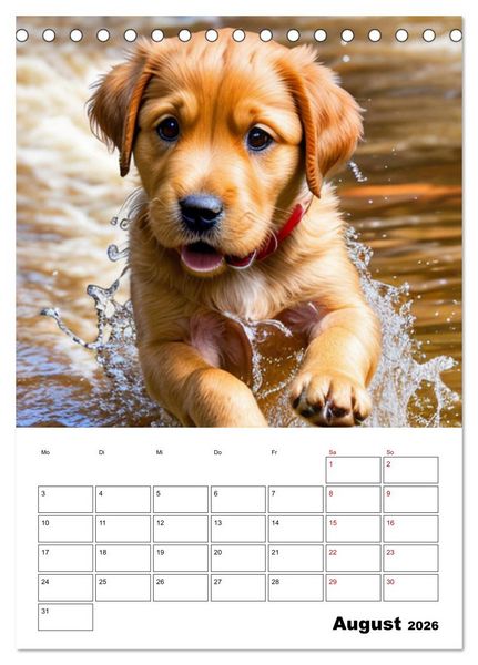 Produktbild: Mit Tieren hinein in das neue Jahr (Tischkalender 2026 DIN A5 hoch), CALVENDO Monatskalender