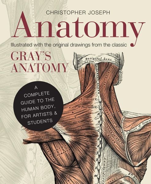 Produktbild: Anatomy