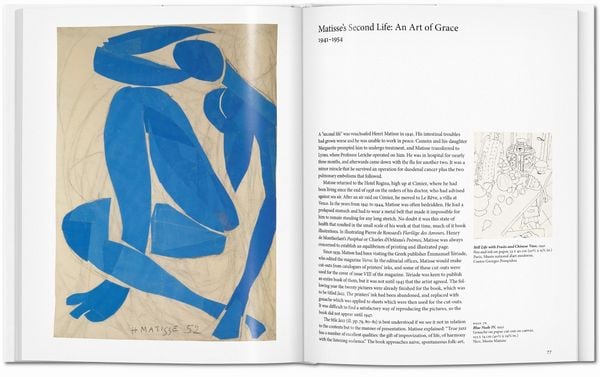Produktbild: Matisse
