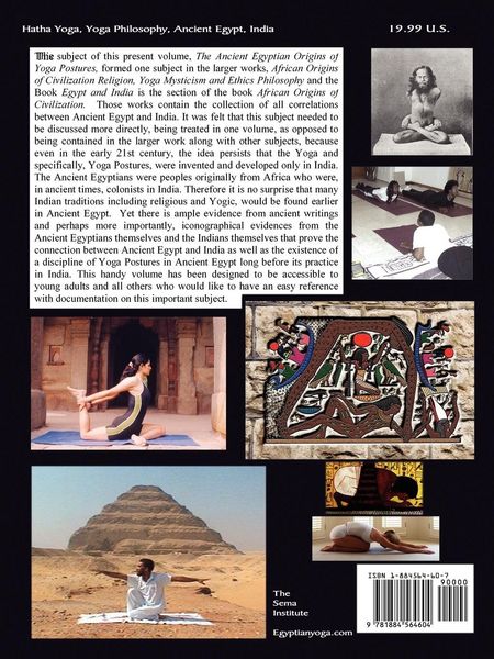 Produktbild: The African Origins of Hatha Yoga