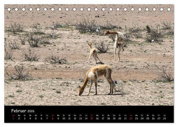 Produktbild: Traumziel Peru (Tischkalender 2026 DIN A5 quer), CALVENDO Monatskalender