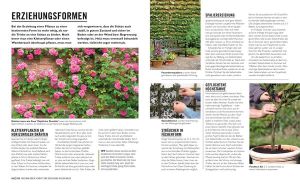 Produktbild: Gr&uuml;nes Gartenwissen. Pflanzen richtig schneiden