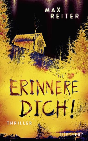 Erinnere dich!, Taschenbuch von Max Reiter, Fischer Scherz, 978-3-651-02505-9