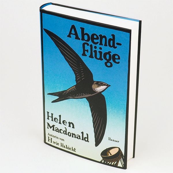 Produktbild: Abendfl&uuml;ge