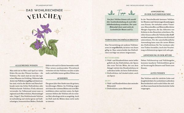 Produktbild: Zaubernuss und Waldmagie &ndash; Naturmomente f&uuml;r deine Seele