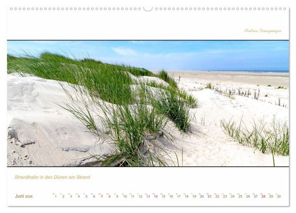 Produktbild: Borkum Inselpanorama (hochwertiger Premium Wandkalender 2026 DIN A2 quer), Kunstdruck in Hochglanz
