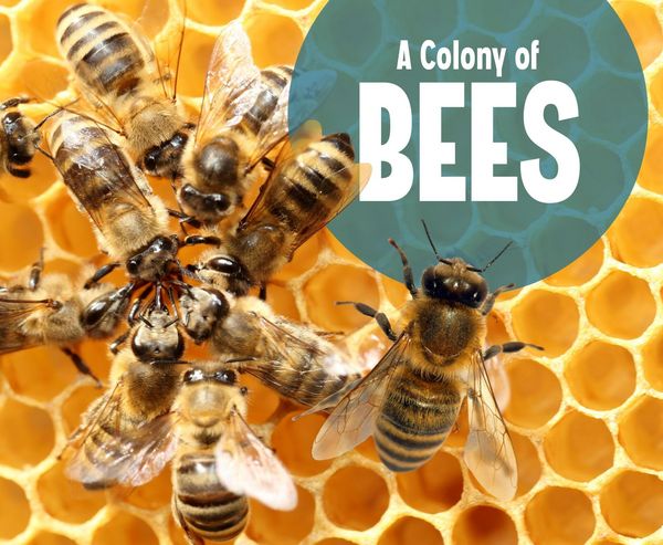 Produktbild: Colony of Bees