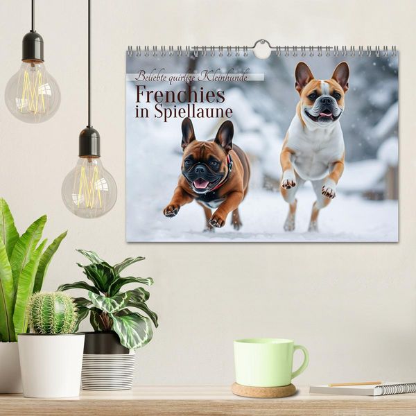 Produktbild: Frenchies in Spiellaune (Wandkalender 2026 DIN A4 quer), CALVENDO Monatskalender