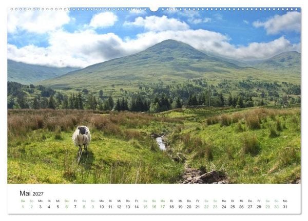 Produktbild: West Highland Love Kalender (hochwertiger Premium Wandkalender 2027 DIN A2 quer), Kunstdruck in Hochglanz
