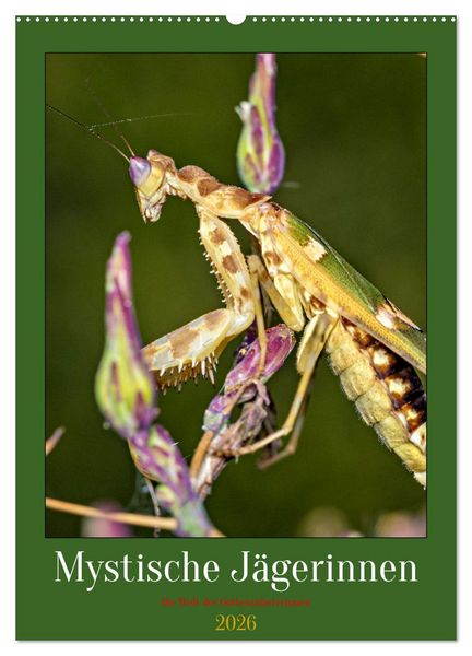 Mystische Jägerinnen (Wandkalender 2026 DIN A2 hoch), CALVENDO Monatskalender
