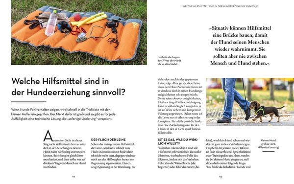 Produktbild: Hunde erziehen &ndash; mit der 5er-Basis
