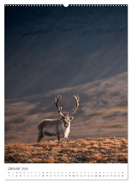 Produktbild: Die Arktis - Naturfotografien aus Spitzbergen (hochwertiger Premium Wandkalender 2026 DIN A2 hoch), Kunstdruck in Hochglanz