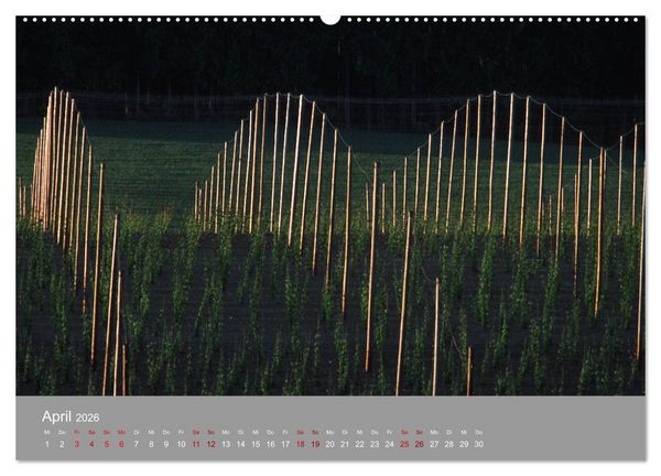 Produktbild: Hallertau (hochwertiger Premium Wandkalender 2026 DIN A2 quer), Kunstdruck in Hochglanz