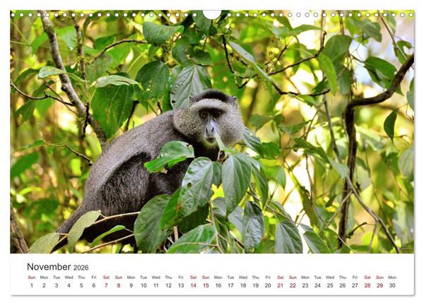 Produktbild: Kenya - a country like Africa (Wall Calendar 2026 DIN A3 landscape), CALVENDO 12 Month Wall Calendar