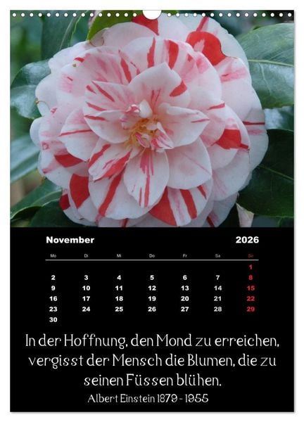 Produktbild: Spr&uuml;che und Zitate ber&uuml;hmter Personen &uuml;ber Blumen und Natur (Wandkalender 2026 DIN A3 hoch), CALVENDO Monatskalender