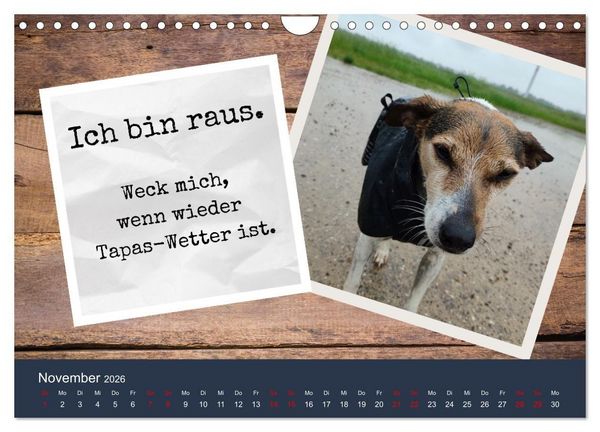 Produktbild: Ratonero Bodeguero Andaluz (Wandkalender 2026 DIN A4 quer), CALVENDO Monatskalender