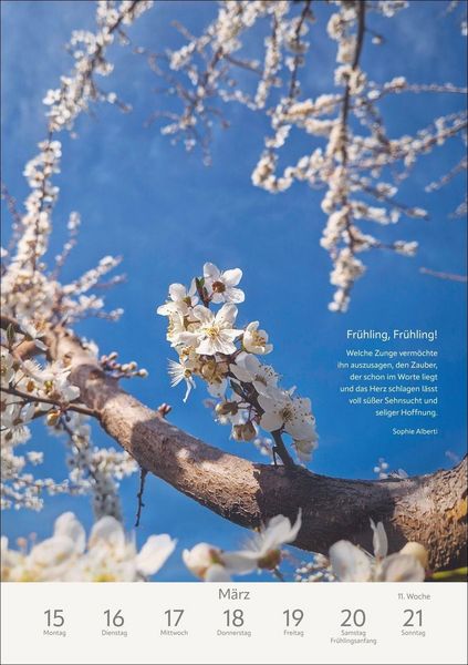 Produktbild: Literaturkalender Natur Wochen-Kulturkalender 2027