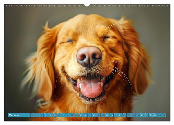 Produktbild: L&auml;chelnde Hunde sind wie Sonnenschein auf vier Pfoten (Wandkalender 2026 DIN A2 quer), CALVENDO Monatskalender