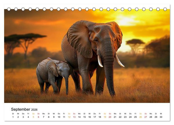 Produktbild: Elefanten - Riesen der Wildnis (Tischkalender 2026 DIN A5 quer), CALVENDO Monatskalender