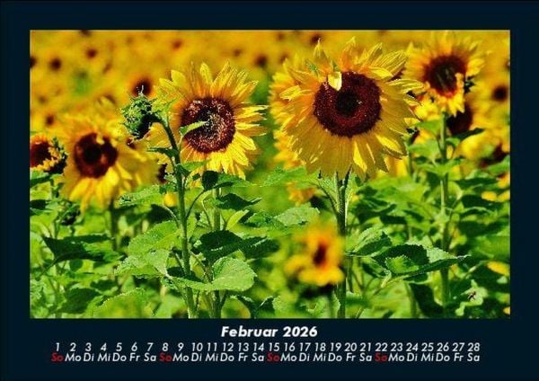 Produktbild: Landschaftskalender 2026 Fotokalender DIN A5