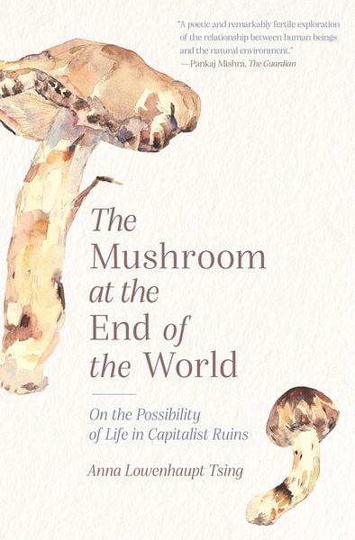 Produktbild: Mushroom at the End of the World