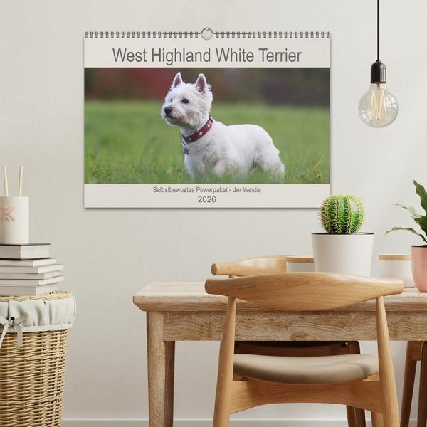 Produktbild: West Highland White Terrier - Selbstbewustes Powerpaket - der Westie (Wandkalender 2026 DIN A3 quer), CALVENDO Monatskalender