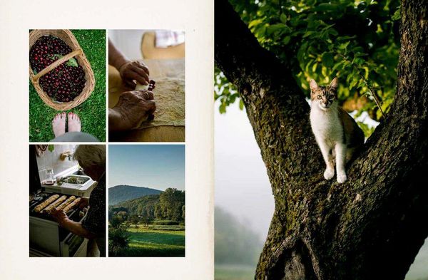 Produktbild: Taste of Memories