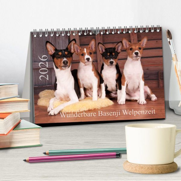 Produktbild: Wunderbare Basenji Welpenzeit (Tischkalender 2026 DIN A5 quer), CALVENDO Monatskalender