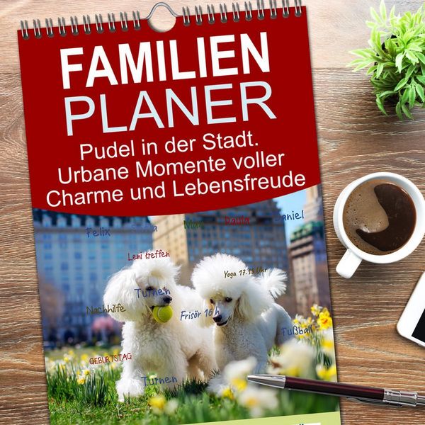 Produktbild: Familienplaner 2026 - Pudel in der Stadt. Urbane Momente voller Charme und Lebensfreude mit 5 Spalten (Wandkalender, 21 x 45 cm) CALVENDO