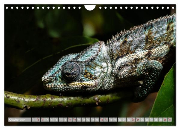 Produktbild: Wildnis Madagaskar (Wandkalender 2027 DIN A4 quer), CALVENDO Monatskalender