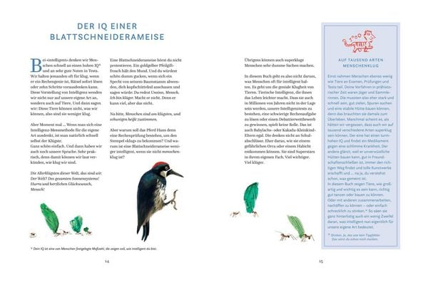 Produktbild: Schlauer, als du denkst