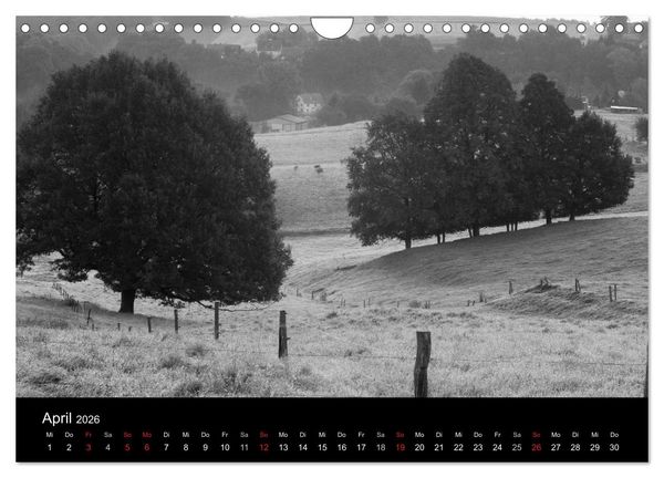 Produktbild: B&auml;ume trees 2026 (Wandkalender 2026 DIN A4 quer), CALVENDO Monatskalender