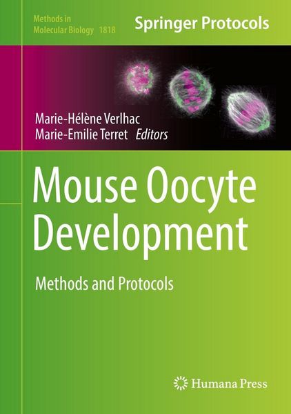 Produktbild: Mouse Oocyte Development