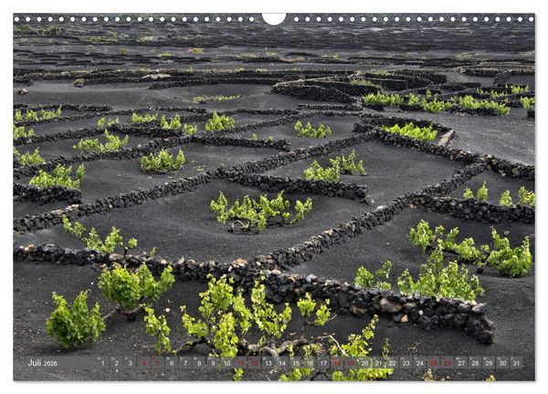 Produktbild: Lanzarote Aus Vulkanen geboren (Wandkalender 2026 DIN A3 quer), CALVENDO Monatskalender
