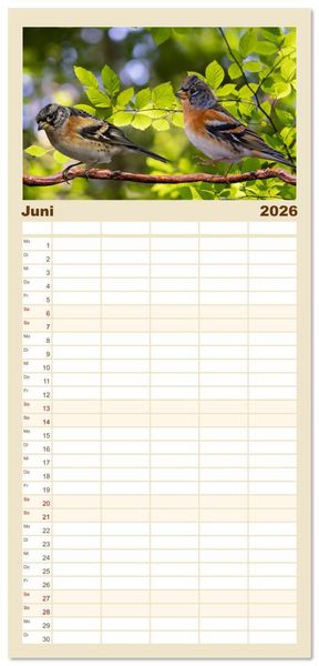 Produktbild: Familienplaner 2026 - Deutschlands Finken mit 5 Spalten (Wandkalender, 21 x 45 cm) CALVENDO