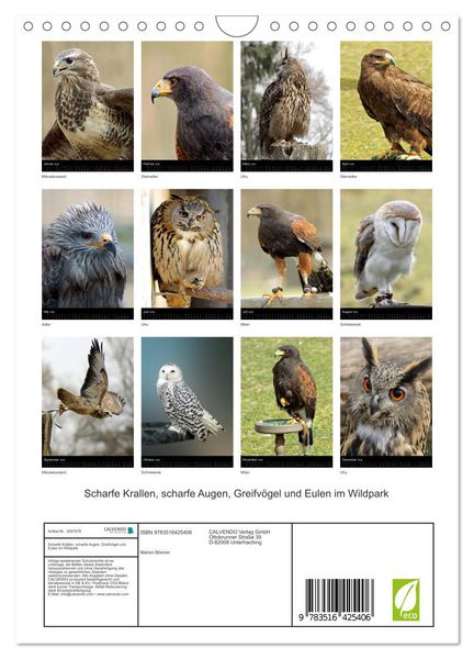 Produktbild: Scharfe Krallen, scharfe Augen, Greifv&ouml;gel und Eulen im Wildpark (Wandkalender 2026 DIN A4 hoch), CALVENDO Monatskalender