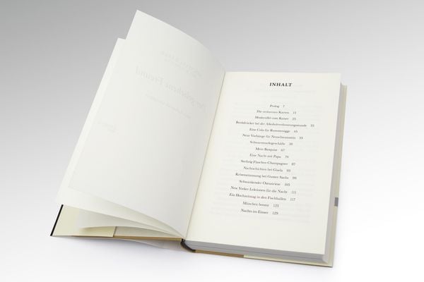 Produktbild: Der geliehene Freund