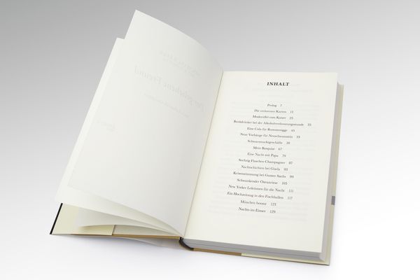 Produktbild: Der geliehene Freund