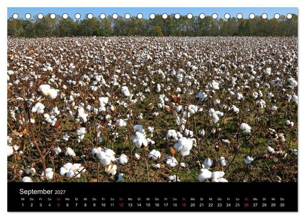 Produktbild: S&uuml;dosten der USA (Tischkalender 2027 DIN A5 quer), CALVENDO Monatskalender
