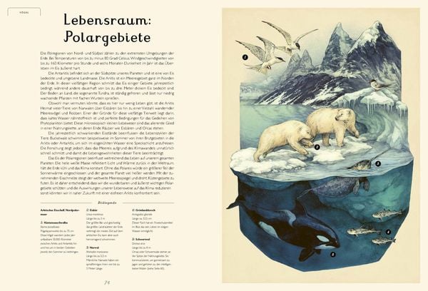Das Museum des Meeres