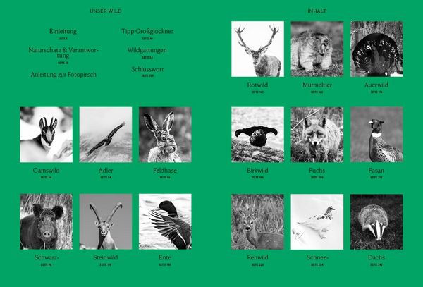 Produktbild: Unser Wild