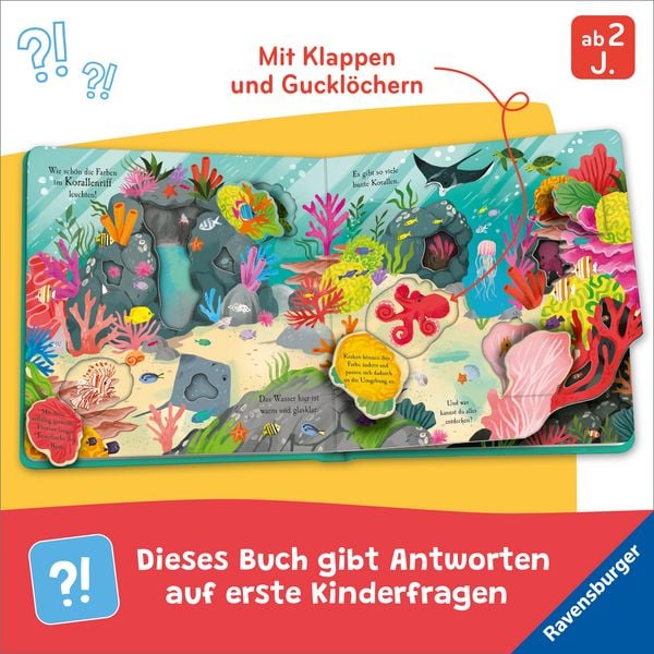 Produktbild: Auf Entdeckungstour: Im Meer