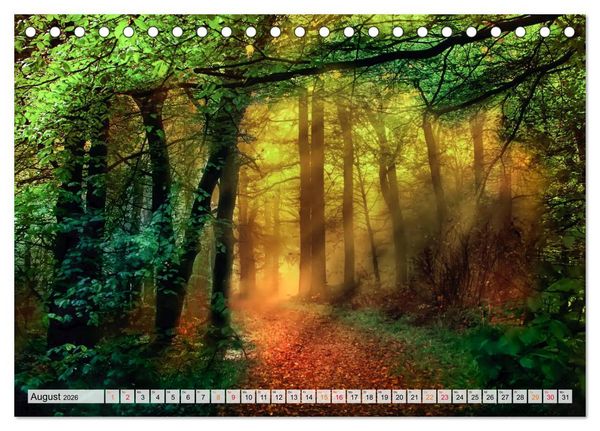 Produktbild: Wald - mystische Spazierg&auml;nge (Tischkalender 2026 DIN A5 quer), CALVENDO Monatskalender