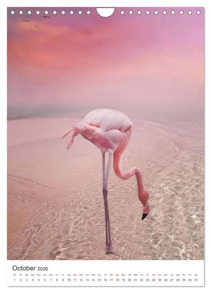 Produktbild: Flamingo and the sea (Wall Calendar 2026 DIN A4 portrait), CALVENDO 12 Month Wall Calendar