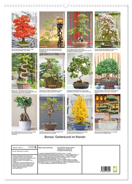 Produktbild: Bonsai: Gartenkunst im Kleinen (Wandkalender 2026 DIN A2 hoch), CALVENDO Monatskalender