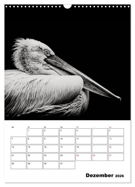Produktbild: Charakterk&ouml;pfe aus der Welt der Tiere (Wandkalender 2026 DIN A3 hoch), CALVENDO Monatskalender
